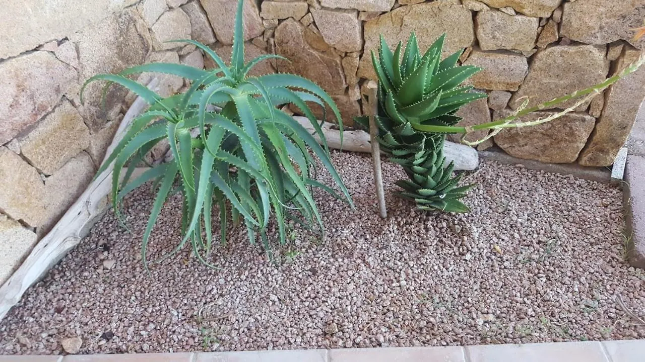 קוסטה פרדיסו Villa Alessandra 0*, קוסטה פרדיסו